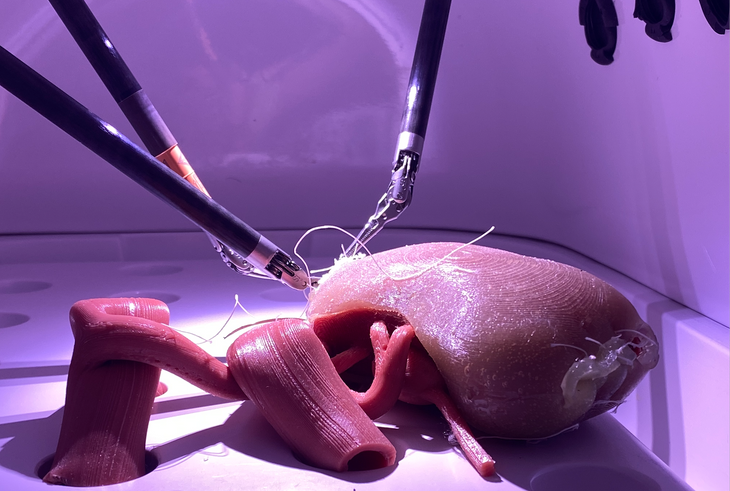 The Art of Precision: My Path to Pediatric Robotic Surgery